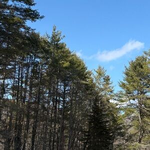 Meet your Posher, Meg